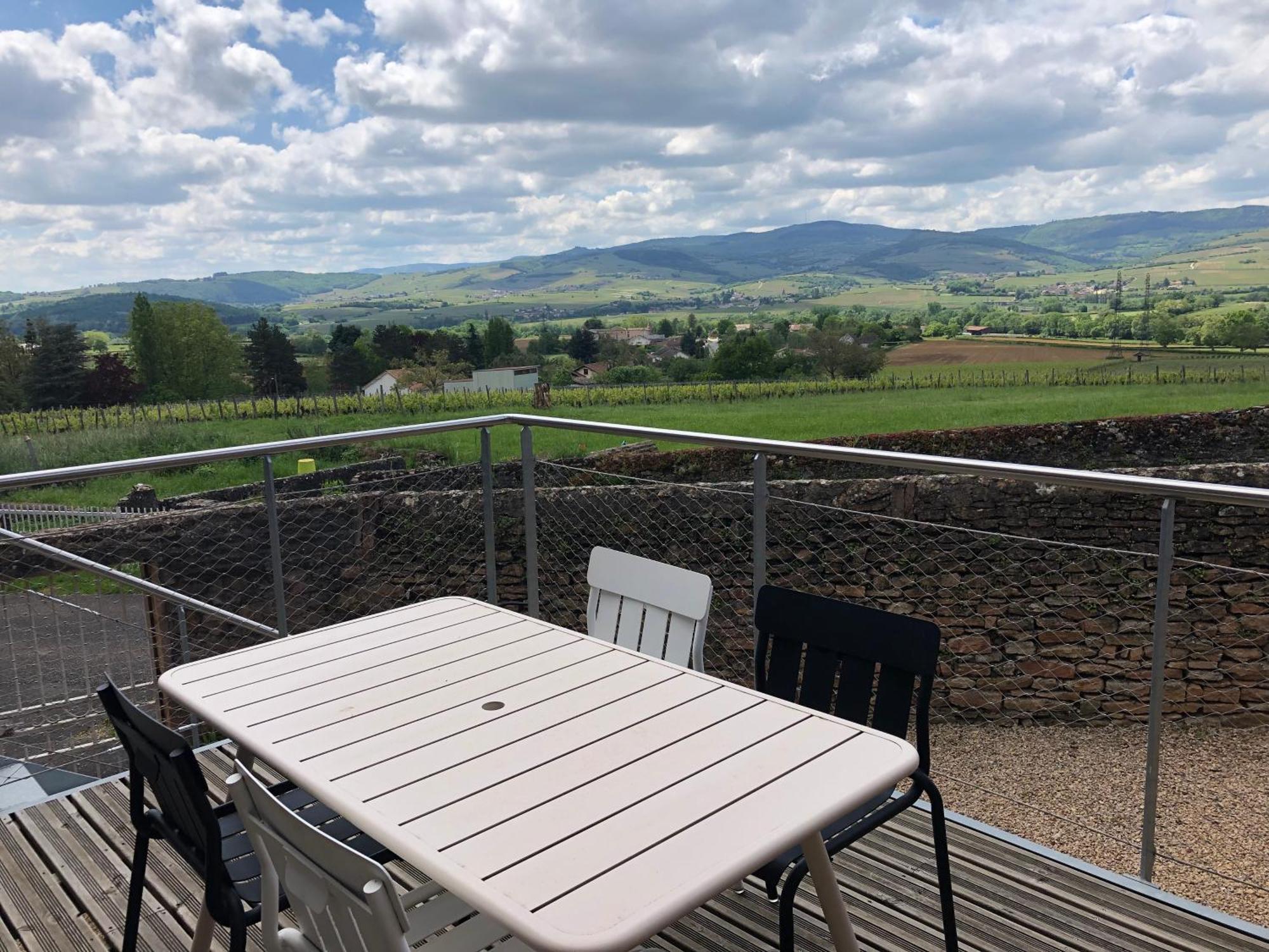Appartement Contemporain Dans Une Authentique Demeure Viticole Charnay-lès-Mâcon エクステリア 写真